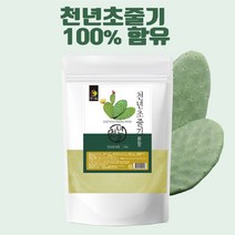 엄마애손 국내산 천년초 손바닥선인장 줄기 분말 가루 100% 500g, 1개