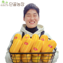 산지직송 스테비아급 고당도 성주 참외, 선물용 / 5kg / 중과 / 15~25과 내외