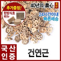 자애인 국산 연근 600g 건조연근 연근차 충북괴산, 단품, 1개