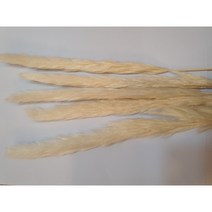 밍블랑 셀프인테리어 디퓨저재료 모음 DIY 디퓨저 공병 섬유스틱 리필오일 디퓨저스틱, 1개, 팜파스(아이보리) 5대