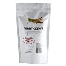 Can of Edible Grasshoppers, 1