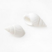 조개껍질5 소라b 100g, 단품