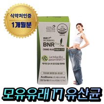 (혁2라이프) 100억 모유 유래 유산균 BNR17 알약 캡슐 식약처인증 비에날씬 유산균 다이어트 bnr 17 체지방 락토바실러스 가세리 람노서스 애시도필러스 포스트바이오틱스, 1개, 비에날씬프로