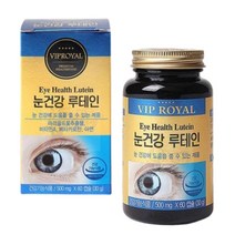 눈 시림 침침 대두 레시틴 루테인 영양제 루테윈 눈침침 눈시림 학생용 황반변성 건조한눈 눈피로 눈건조