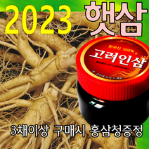 금산인삼아줌마 인삼 (2호)6년난발삼 750g 산지에서 발송 가정용 수삼, 6년난발삼(2호) 750g, 1개