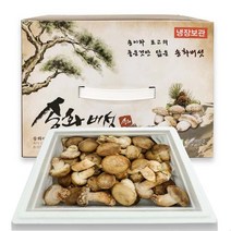 [젊은농부] 송화버섯 정품1kg 최고급형(특등급) 선물세트 무농약 명절(j설날선물) 국산 이중포장, 1개