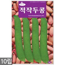 적작두콩 씨앗 10립 - 씨 작두콩씨앗 작두콩씨 작두콩 콩씨앗 콩씨 텃밭 주말농장, 19_적작두콩(10립)