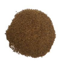 한국잔디씨앗 50g-1봉 정원 산소 공원용 짧게자람 더위 추위강 최신제품 파종레시피 마른모래증정, 1개