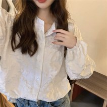 KORELAN올봄 년 한국판 루즈핏 레이스 입체 자수 셔츠 디자인감 미니 블라우스