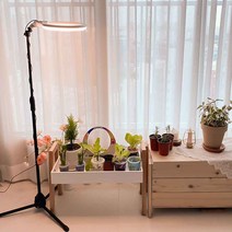 이지프라임 식물등 엔젤등 가정용 식물 성장등 LED 조명 생장등 전구 화분 다육이 재배 원형, 엔젤식물등 B(전구색/주백색/전광색)-스탠드포함