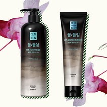LG생활건강 리엔 물들임 새치커버 샴푸 450ml+트리트먼트150ml+쇼핑백증정