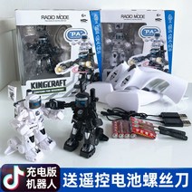 권투 휴머노이드 로봇 RC배틀 AI 행동복사 컨트롤러 RC 변신로봇, C.검은색+하얀색