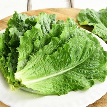 반포기 로메인 청상추 2kg