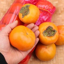 단감 5개 1kg내외 팔팔마켓 국내산 부유단감