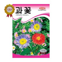 경신종묘 꽃씨앗 과꽃(일반종) 1000립