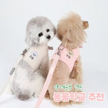 [리토가토] 러비 커스텀 캐릭터 강아지 하네스 5가지 색 (컴퓨터 자수) 동물학교 추천, 베이지