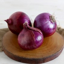 산지직송 자색양파 무안양파 햇양파 조생양파 적양파, 자색양파 20kg, 1개