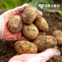 미쁜스토어 포실포실한 2022년 햇 감자 3kg 5kg 10kg 20kg, 1개, 감자 3kg 중(통구이용)