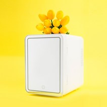 LED 거울기능 화장품냉장고 미니 소형 음료 냉장고, 화이트