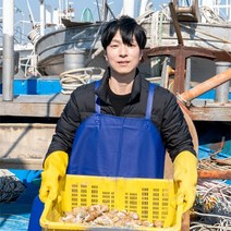 [기봉농수산] 자연산 동해바다 생물 백골뱅이 500g 1kg, 1kg 특대 (12미 내외)