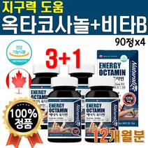 비타 B 비타민 BC 비 씨 비군 메가도스 비타민C 아스코르 빈산 브산 비타C VITA MIN 고용량 에너지업 옥타민 지구력 도움 BC 영양제 1년치 대용량 약 12개월 360정