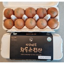 청란 청계알 난각번호1번 자연방사 유정란 무항생제 유기농 계란 달걀 동물복지 청계란, 유정란20구, 1개