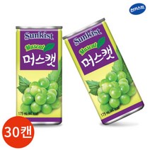 썬키스트 머스캣 175ml x 30캔