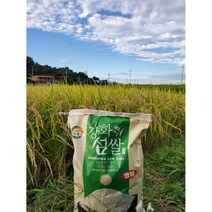 2022햅쌀 강화섬쌀(정미소 직거래), 20kg, 2022고시히카리, 1개
