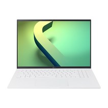 2022 LG전자 그램 16ZD90Q-GX56K (40.6cm 인텔12세대 앨더레이크 CPU NVMe 16GB), Free DOS, 스노우화이트, 256GB, 코어i5, 16GB