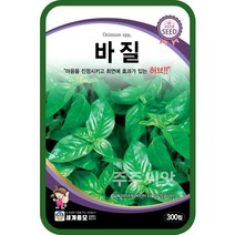 바질 씨앗 300립 / 스위트바질 허브씨 종자 Sweet Basil seed