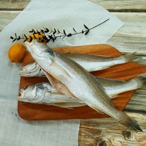 부산 반건조 생선 민어조기 완벽손질 소금간 간편조리, 3마리 (32cm 내외 / 200~250g)