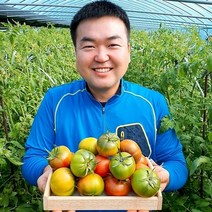 (람이네)찰토마토 산지직송 대저토마토 2.5kg 주스용토마토, 1box, 대저 주스용토마토2.5kg
