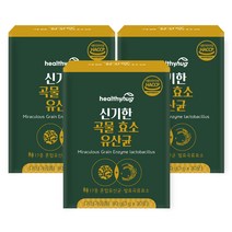 헬씨허그 신기한곡물효소 유산균 30포 1개월분 곡물발효 효소 탄수화물, 3개