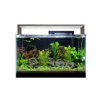 [라라아쿠아]라라 프리미엄 수초어항 풀세트 300, 단일속성
