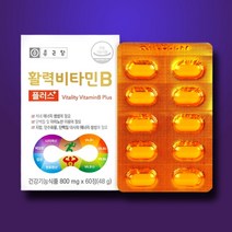 비타민B군 8종 종근당 활력 비타민B 플러스 800mg 60정 2개월분 엽산 비오틴, 2개(120정/4개월분)