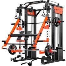 스미스 머신 멀티랙 홈짐 홈트 헬스 기구 스쿼트랙, J009SBirdSmith베어메탈(폴포함)