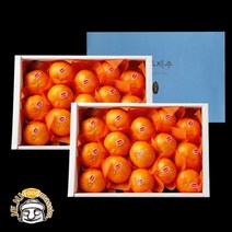 블루제주 서귀포 레드향선물용 2.5kg x 2박스(총16-26과실중량)