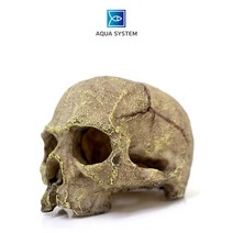 아쿠아시스템 SZ-787 수조장식품 해골 뼈 은신처