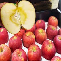 [명가] 경북 가정용 꿀사과 특가판매중, 1박스, 16.명품/선물용 및 제수용 사과 10kg/중대과