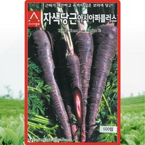 자색당근 씨앗 당근 씨 종자 500립