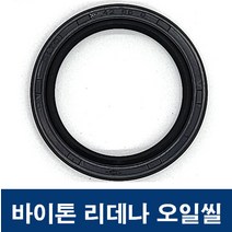 에스케이종합상사 바이톤 리데나 12-32-8 (12X32X8) 오일씰 TC