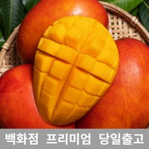 [특등급선별] 애플망고 2.5kg 제주애플망고 제주도애플망고 제주망고 애플망고선물세트 제주산애플망고 망고선물세트 애플망고선물 과일 과일종류 제철과일 겨울과일 망고쇼핑몰 과일선물