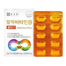 종근당 수용성 고함량 활력 비타민 B 비 복합체 비원 비군 B군 B1 B2 B6 B12 코발라민 티아민 리보플라빈 피리독신 판토텐산 나이아신 엽산 비오틴 영양제, 4박스(8개월분)