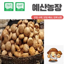 무농약인증 GAP인증 생표고버섯 동고 중품 (가정용) 추천, 1kg, 1개