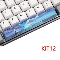 키보드축교체 키캡 서브 스페이스 바 6.25u oem 프로필 pbt 키 캡 diy 키, 키트 12