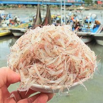 소래포구 김장용 생새우 당일조업배송, 생새우 1kg