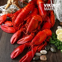 [바이킹마켓][무료배송] 항공 직송 냉동 캐나다 자숙 랍스터 10미, 400~450g, 10마리