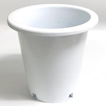 [짱짱마켓] 플라스틱화분 백현애분 분갈이흙 화분 모종
