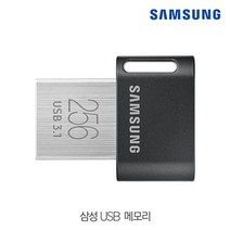 삼성)USB저장장치(MUF-64ABFITPLUS) 전자기기 저장장치 USB 메모리 외장하드, 1
