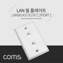 월 플레이트 / RJ45 2포트 / 인터넷선 벽면 시공용 플레이트, 1